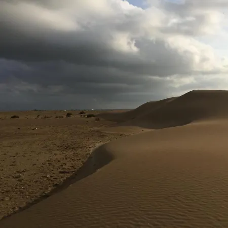 Caseta Del Delta De L'ebre